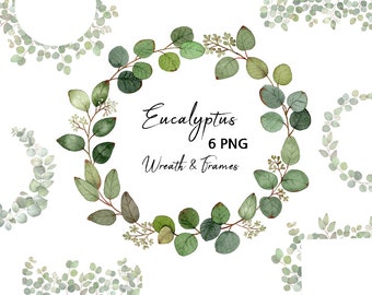 May include: Watercolor illustration of a eucalyptus wreath and six individual eucalyptus sprigs. The wreath is a circle of green leaves and branches. The sprigs are arranged in a line, with the leaves facing upwards. The text "Eucalyptus 6 PNG Wreath & Frames" is written below the wreath.