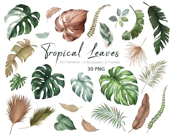 watercolor greenery clipart,Palm leaf,Tropical Leaves,Greenery Clipart,Jungle clipart,original hand painted,Free Commercial Use
