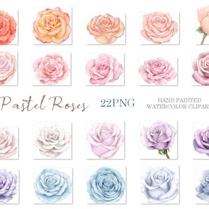 水彩バラのクリップアート、花のpng、オリジナルの手描き、結婚式の装飾、パステルカラーのバラ