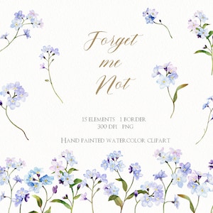 No me olvides clipart, clipart de flores de acuarela, PNG original pintado a mano