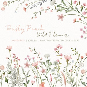 Watercolor wildflower floral clipart,dusty peach color spring flowers border