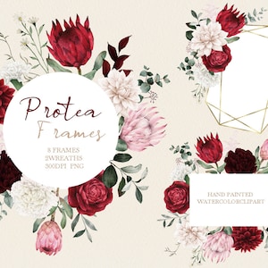 Aquarell Protea Clipart,Hochzeitseinladung,tropisch pink,Original handgemalt
