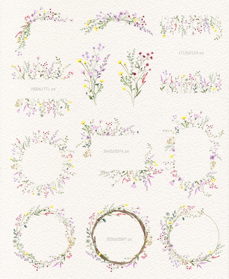 Watercolor Wildflower Floral Clipartspring Flower - Etsy