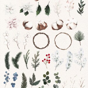 Op de afbeelding: Een verzameling aquarel illustraties met winterse botanische elementen, waaronder dennenappels, katoenbollen, bessen, bladeren en kransen. Deze illustraties zijn perfect om een vleugje winterse charme aan je ontwerpen toe te voegen.
