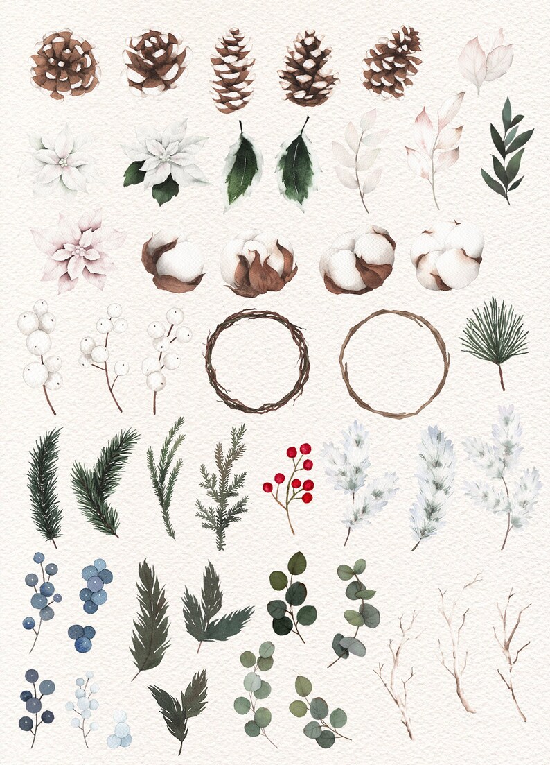 Op de afbeelding: Een verzameling aquarel illustraties met winterse botanische elementen, waaronder dennenappels, katoenbollen, bessen, bladeren en kransen. Deze illustraties zijn perfect om een vleugje winterse charme aan je ontwerpen toe te voegen.