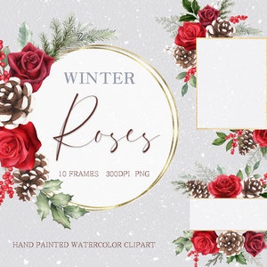aquarela inverno natal quadro clipart, rosa de inverno, pinhas, florais, folhas de eucalipto, original pintado à mão