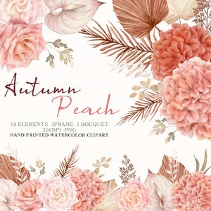 Aquarel perzik bloem clipart, herfst hortensia bloemenboeket, lijst met perzik, doe-het-zelf-elementen png, origineel handgeschilderd