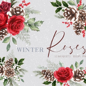 aquarela inverno buquê de natal clipart, rosa de inverno, pinhas, florais, folhas de eucalipto, original pintado à mão