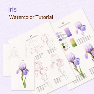 Puede incluir: Una guía instructiva titulada Iris Watercolor Tutorial que presenta bocetos paso a paso, muestras de color y pinturas terminadas de flores de iris moradas. Las páginas incluyen instrucciones de texto detalladas para el boceto y la pintura.