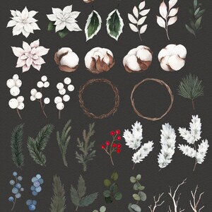 Op de afbeelding: Een verzameling aquarel illustraties met winterse botanische elementen, waaronder dennenappels, katoenbollen, hulstbesjes, eucalyptusbladeren en takjes groen.