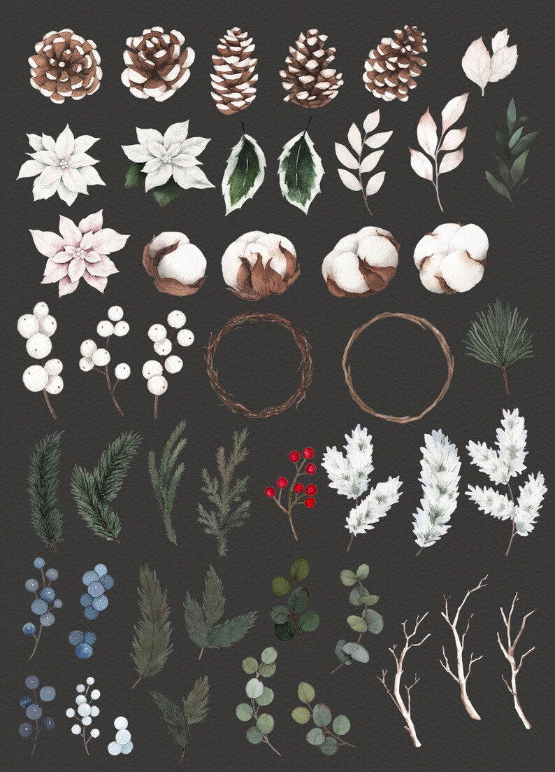 Op de afbeelding: Een verzameling aquarel illustraties met winterse botanische elementen, waaronder dennenappels, katoenbollen, hulstbesjes, eucalyptusbladeren en takjes groen.