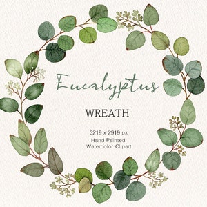 Clipart de vegetación de acuarela, arreglos de eucalipto, clipart de boda, marco de eucalipto, pintado a mano original, uso comercial gratuito