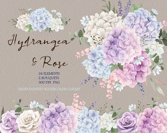watercolor Hydrangea flower clipart,roses Bouquets,for wedding invitation,DIY elements PNG,original hand painted