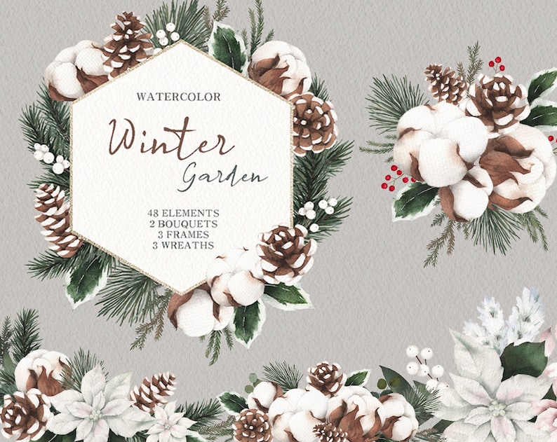 Op de afbeelding: Waterverfillustratie van een wintertuin met dennenappels, katoen, hulstbesjes en groen. De illustratie is omlijst door een gouden zeshoek met de tekst "Waterverf Wintertuin" en details over het aantal elementen, boeketten, frames en kransen inbegrepen.