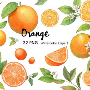 Watercolor Orange clipart,Greenery clipart,nursery clipart,orange branches,orange Wreath