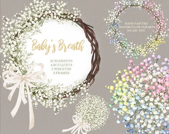 baby's breath flower clipart,watercolor bouquets,floral wreaths,wedding invitation frames