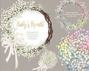baby's breath flower clipart,watercolor bouquets,floral wreaths,wedding invitation frames,original hand painted