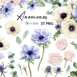 Clipart de flores de acuarela, ramo de flores de anémona, arreglos florales, clipart de boda, ramo de anémona, pintado a mano original