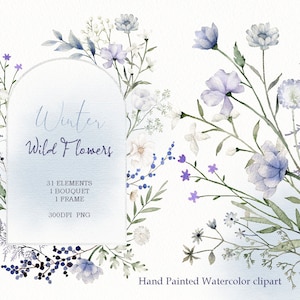 Clipart floral de flores silvestres em aquarela, moldura de flores de inverno, buquê de guirlanda de jardim, original pintado à mão