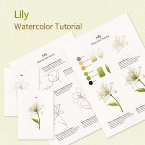 Könnte beinhalten: Ein Aquarell-Tutorial mit dem Titel "Lily Watercolor Tutorial" mit Schritt-für-Schritt-Anleitungen. Das Tutorial umfasst Skizzen, Farbpaletten und fertige Lilienbilder. Der Text "Lily" ist sichtbar.