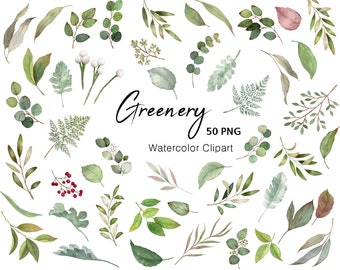 Watercolor Eucalyptus Clipart,greenery branches,Greenery elements,original hand painted,Free Commercial Use
