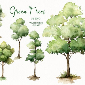 clipart de árvores em aquarela,floresta natureza vegetação,convite de casamento,pintado à mão original