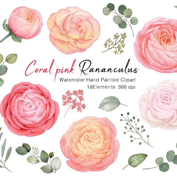 Watercolor flower clipart,Ranunculus  bouquet,Floral arrangements,flower clipart,Wedding Clipart,pink Bouquet,Floral Watercolor