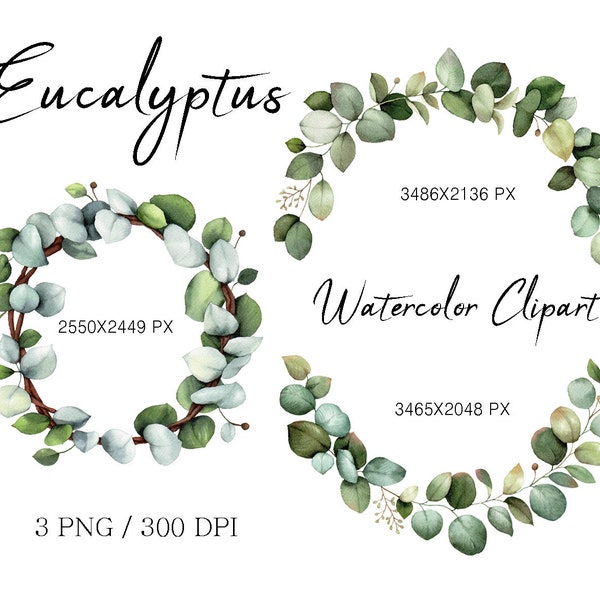 Aquarell Eukalyptus Clipart,Hochzeitskranz,Eukalyptus Kranz,Grüne Clipart,Hochzeit Einladung Clipart,handgemalt,Free Commercial Use