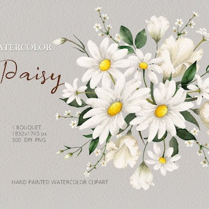 Aquarel madeliefje bloemen clipart, madeliefjeboeket, lente wilde bloemen, origineel handgeschilderd