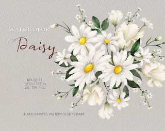 Watercolor Daisy Floral clipart,daisy Bouquet,spring wildflower,original hand painted
