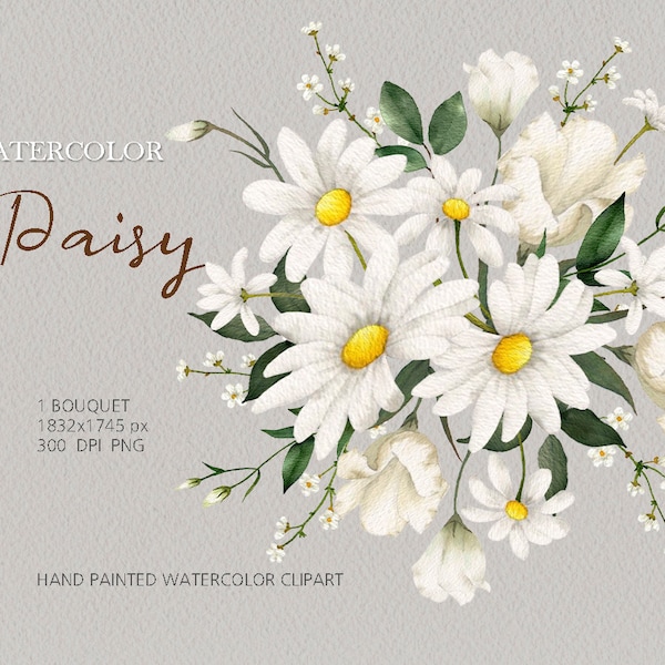 Watercolor Daisy Floral clipart,daisy Bouquet,spring wildflower,wedding invitation