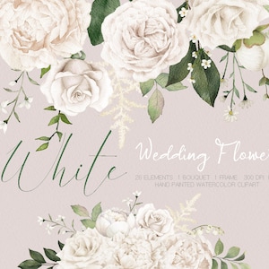 Clipart floral aquarela, buquê de peônia branca, arranjos florais, clipart de flores, casamento, elementos DIY PNG, original pintado à mão