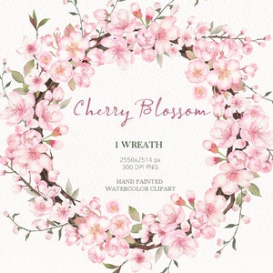 clipart floral aquarela, coroa de flores de cerejeira, flor de sakura rosa, original pintado à mão