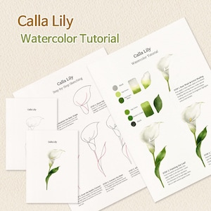 Könnte beinhalten: Ein Aquarell-Tutorial mit dem Titel "Calla Lily" mit Schritt-für-Schritt-Anleitungen. Das Tutorial enthält Skizzen, Farbmuster und fertige Aquarellmalereien von weißen Calla-Lilien mit grünen Stielen und Blättern. Der Text enthält "Step-by-Step Sketching".