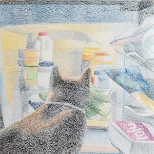 Semi Realistic Cat Looking in Fridge Colored Pencil Drawing Original Surreal Animal Wall Art