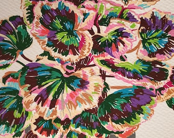 Pelargonium Excalibur House Plant Original Paint Marker Illustration Colorful Foliage Wall Art