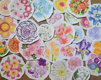 Hand Drawn Flower Stickers Small Floral Colored Pencil Drawing Tiny Original Art on Sticker