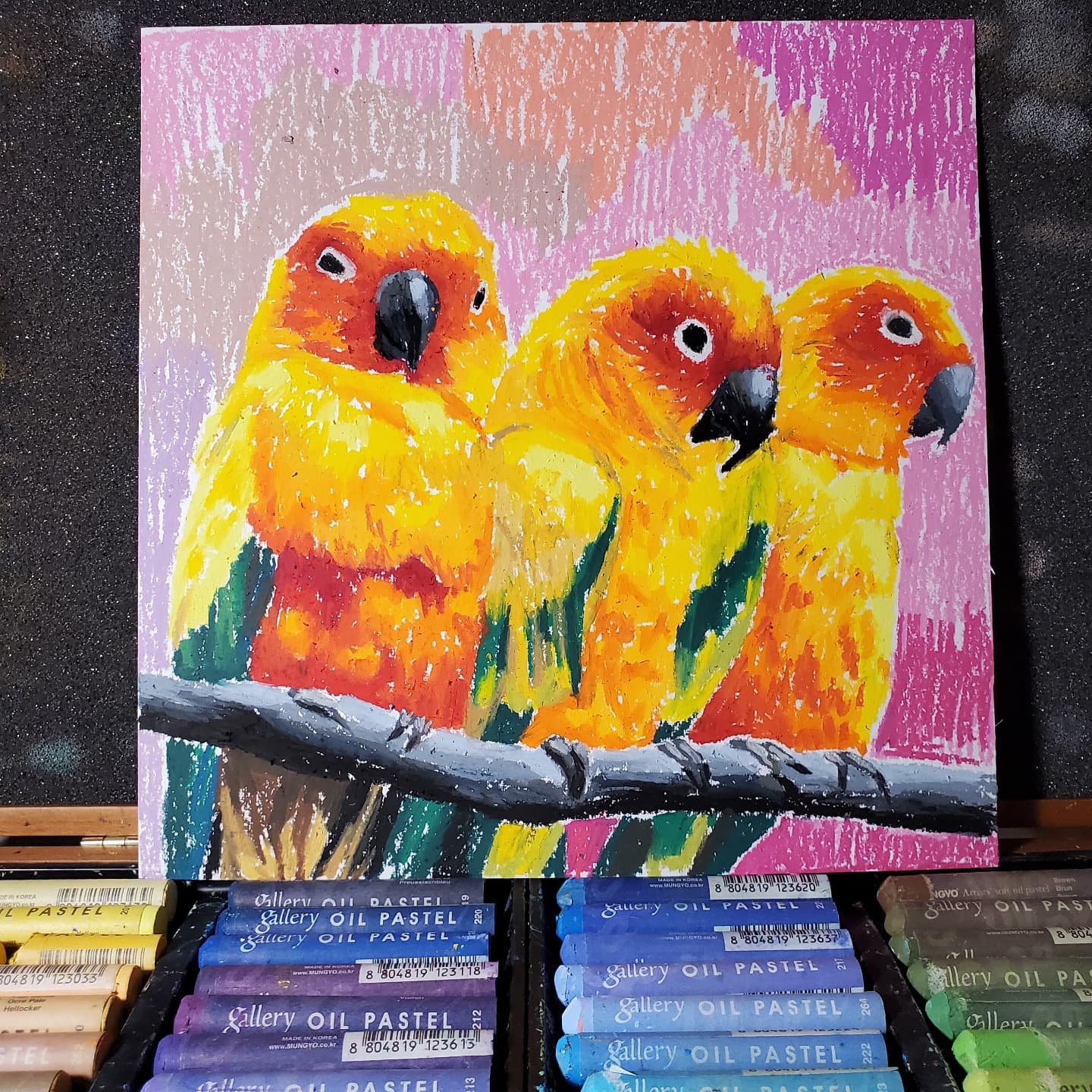 Parrots Oil Pastel Drawing on Paper Colorful Bird Animal Lover - Etsy Parrots Oil Pastel Drawing on Paper Colorful Bird Animal Lover - Etsy