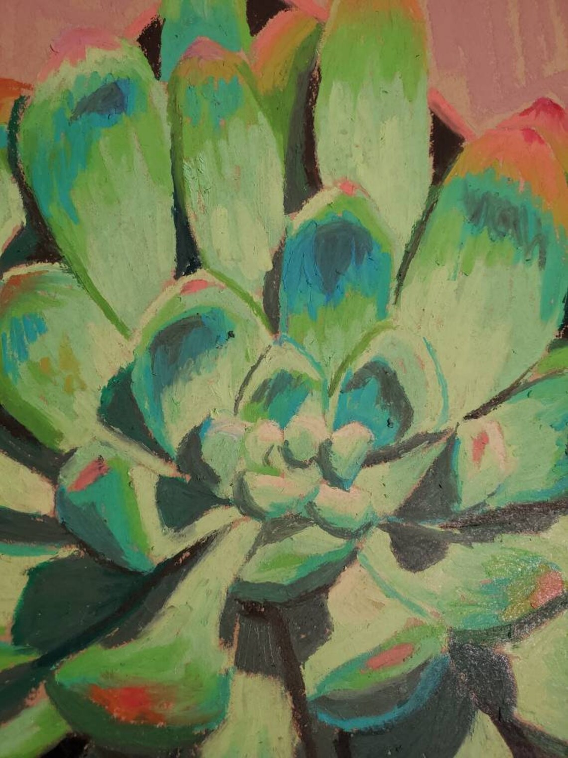 Colorful Oil Pastel Green Succulent Drawing on Toned Tan Paper Etsy UK