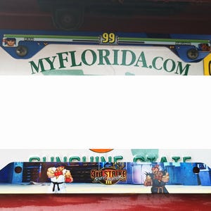 May include: A blue and white license plate frame with a green and white "MyFlorida.com" logo. The frame features a graphic of a video game character and the text "Sunshine State" and "3rd Strike: Fight for the Future".