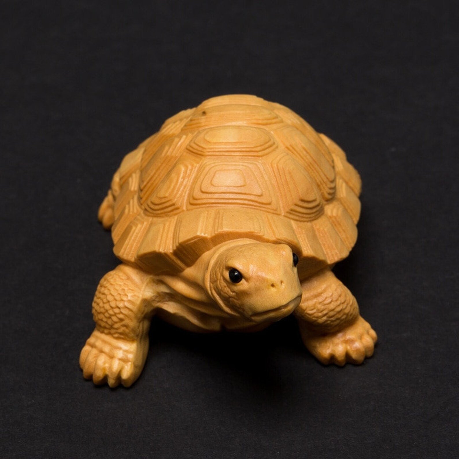 wooden turtle statue