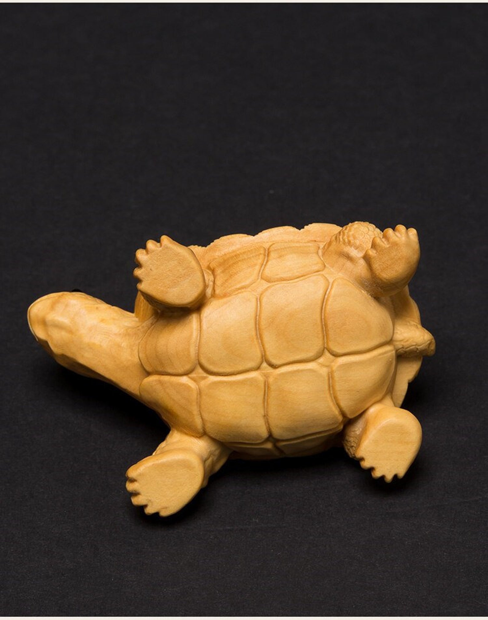 wooden turtle statue