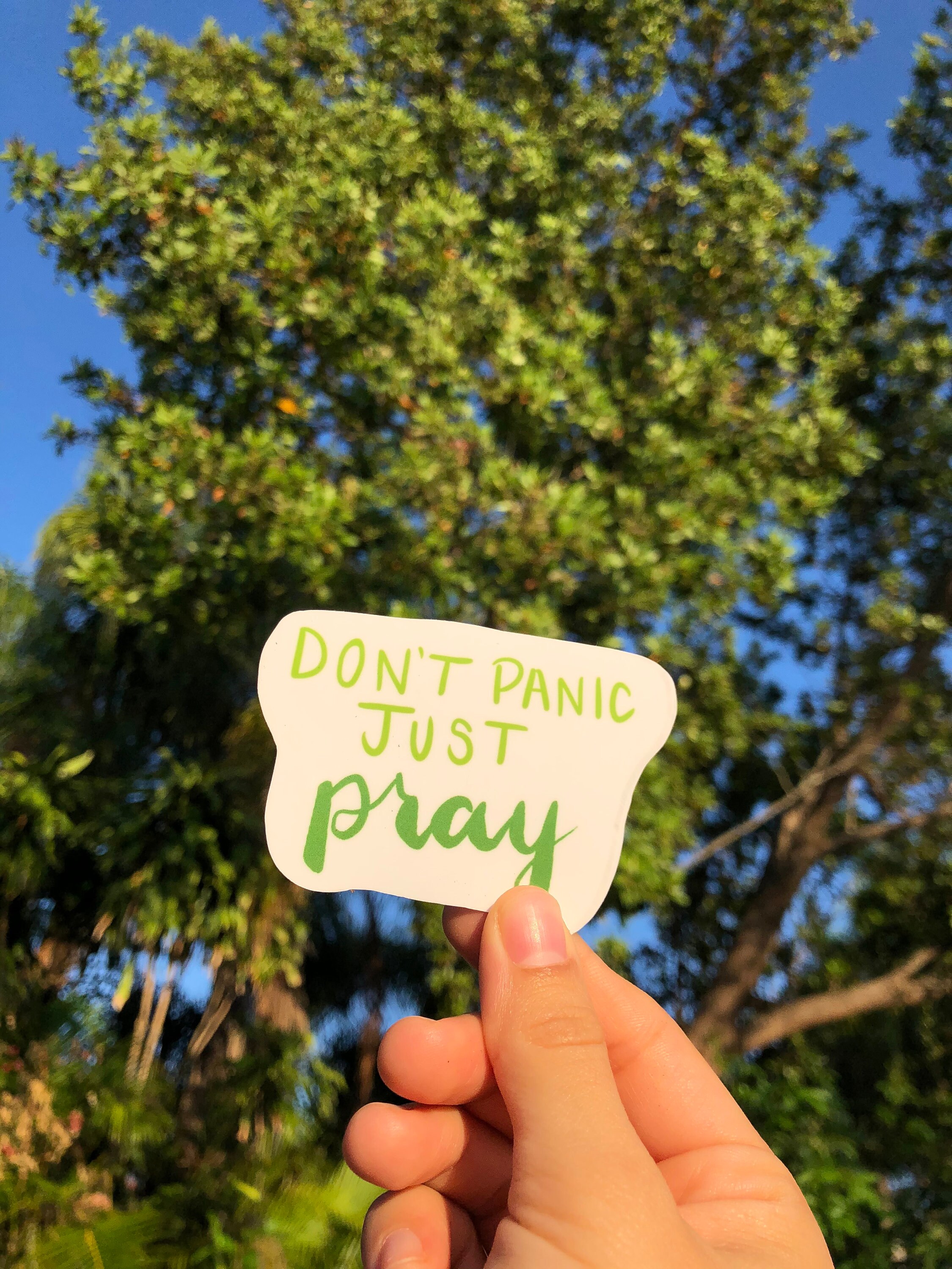 Don’t Panic Just Pray sticker | Etsy