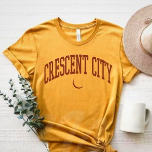 Crescent City Shirt,Crescent City Sweatshirt,Light It Up,Bookish Shirt,Book Lover,Earth and Blood,Light It Up shirt,Velaris Shirt