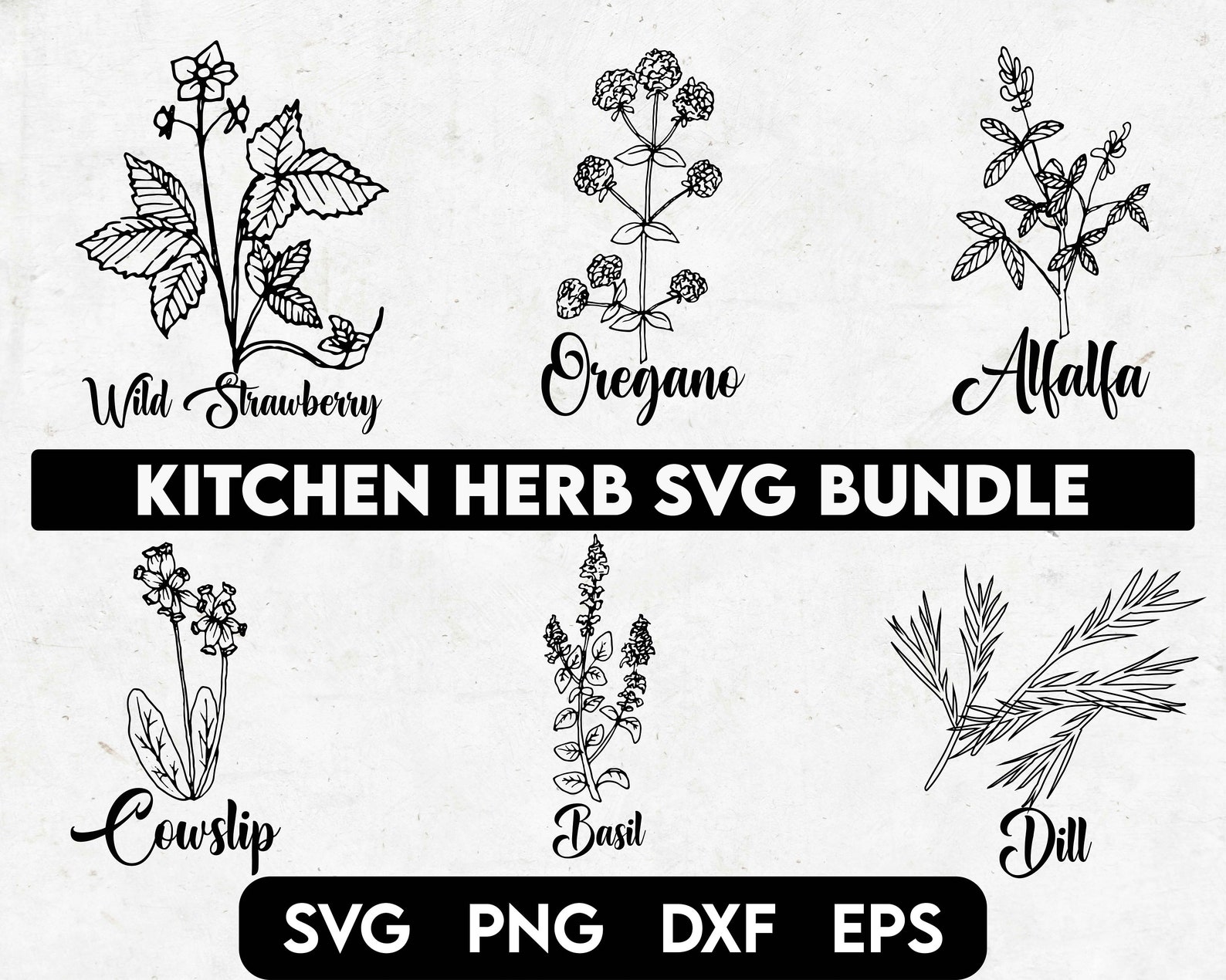Kitchen Herb Svg Bundle Kitchen Svg Herb Svg Farmhouse Svg Etsy