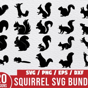 Bundle SVG écureuil, SVG écureuil, Clipart écureuil, écureuil PNG, vecteur écureuil, écureuil mignon Svg, Silhouette écureuil