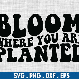 May include: Black and white graphic design with the text "Bloom where you are planted" in a retro font style.