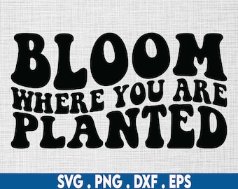 Bloom waar je bent geplant svg, mentale gezondheid svg, bloei svg, vrolijke vibes svg, goede vibes svg, golvende tekst svg, sappige svg, tuin svg