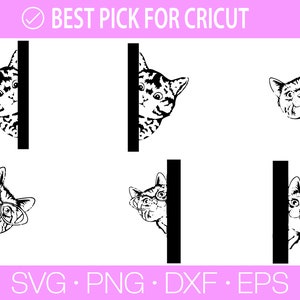 Kikande katt Svg, Katt SVG, Svart katt svg, Kikande katt clipart, Kikande katt SVG, Randiga kattungar Svg, Päls kattunge Svg, Katt clipart, Rolig katt bild 4