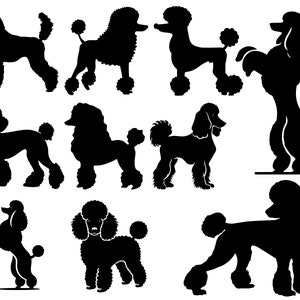 May include: Silhouettes of ten poodles in various poses. The poodles are all black and are shown standing, sitting, and lying down.